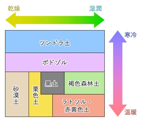 土 構成|土壌